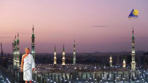 أفضل شركة عمرة في مصر